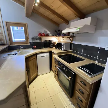 Melezet 1 - Superbe Duplex T2 A 100m Des Pistes Secteur Point Show Mae-9811 Appartement